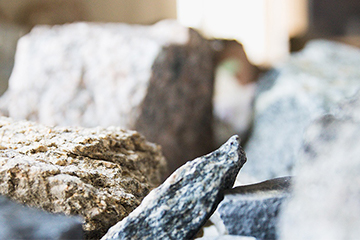 Rocks from Central Michigan University's Department of Geology displayed on a table.